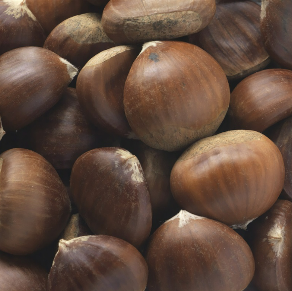 Chestnut 500g