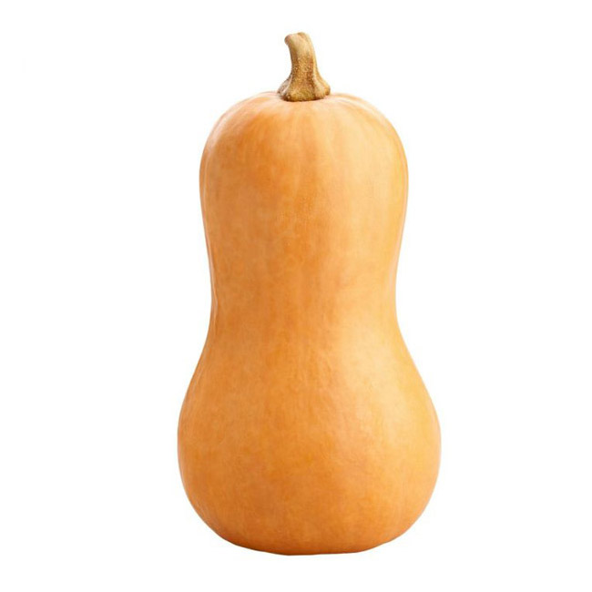 Butternut