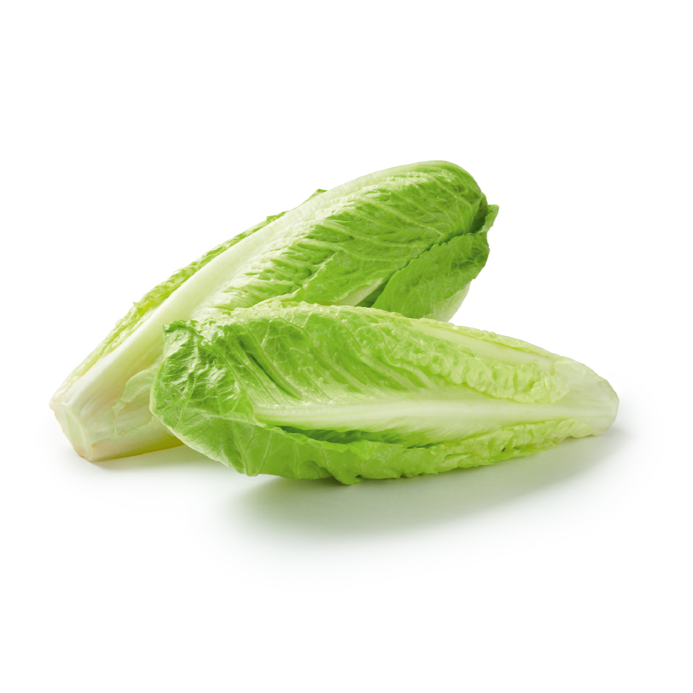 Cos Lettuce – Each