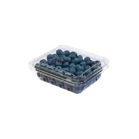 Blueberry Box(Each)