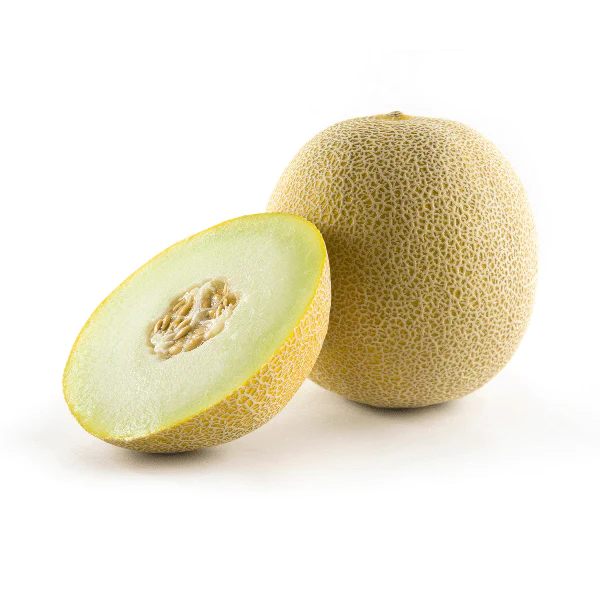 Galia Melon each