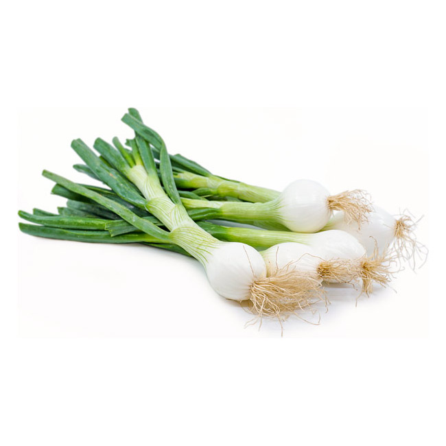 Spring Onion-EACH