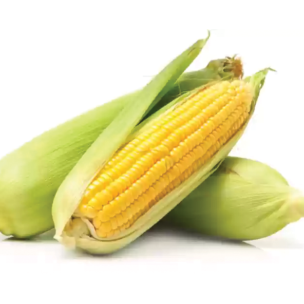 Corn (2 for)