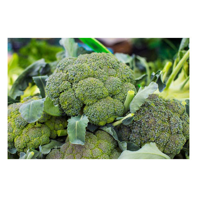 Broccoli (500g)