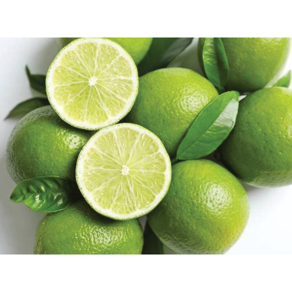 Lime Offers (7 pieces)