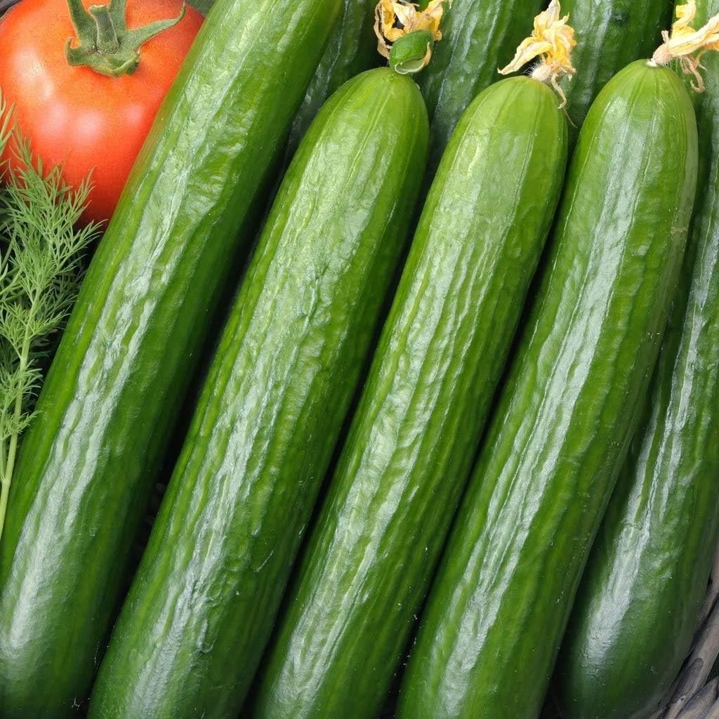 Cucumber (2 pcs)