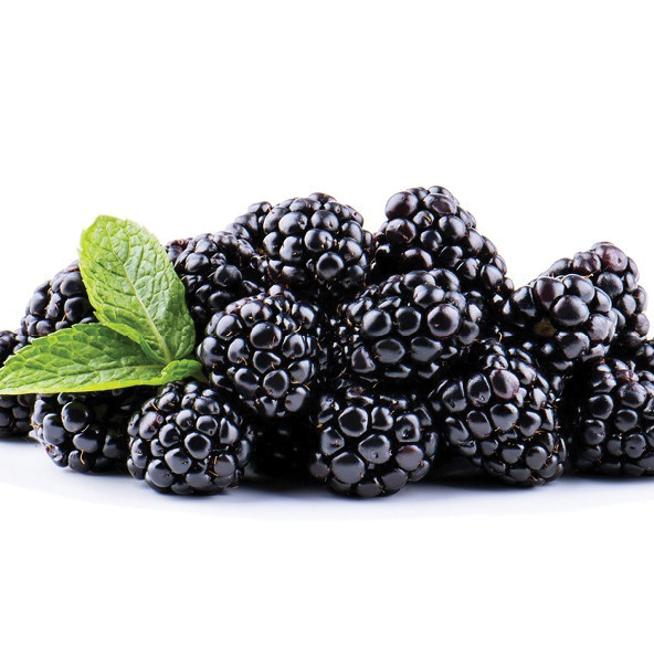 Blackberry (Each)